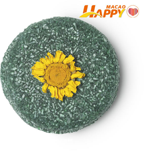 Lushlabs_Shampoo_Bar_Flyway_1