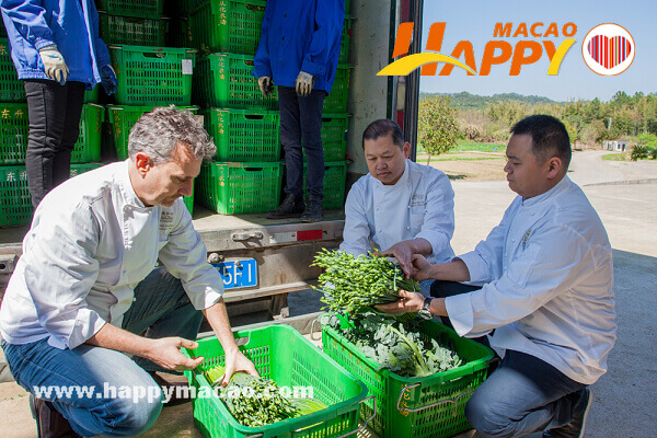 organic-vegetables-6_1_1