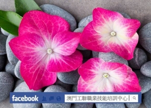 美容養生保健課程